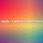 Réponse rapide : à quoi ressemblent les orangers